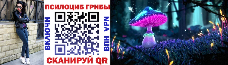 кракен онион  Кунгур  Псилоцибиновые грибы ЛСД 