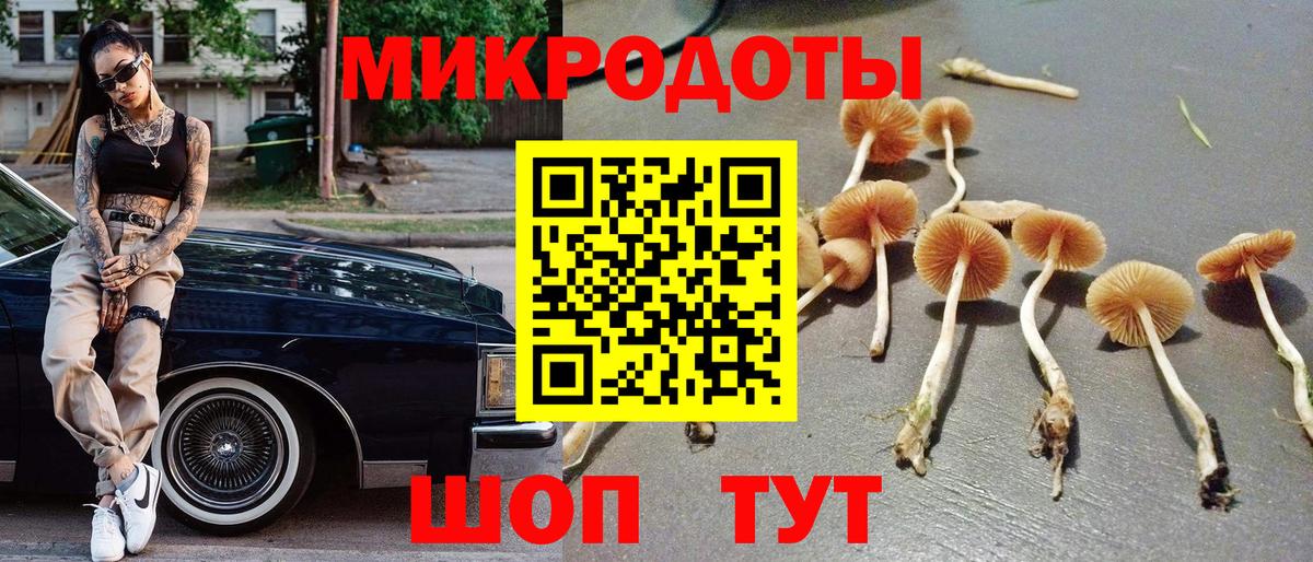 Кунгур  Галлюциногенные грибы прущие грибы  Вход с VPN  Псилоцибиновые грибы GOLDEN TEACHER 